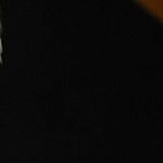 Profile Picture of Vernon James seibel (@vernonjamesseibel) on Instagram