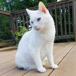 Profile Picture of Paula Cox O'Shaughnessy (@paula.mary707) on Instagram