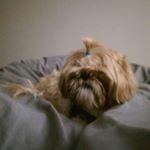 Profile Picture of Doug McCombs (@kirby63000) on Instagram