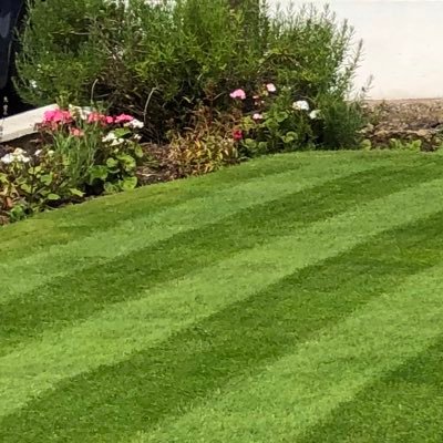 Mark - Twitter Profile Picture of Mark (@markbtuk) on Twitter