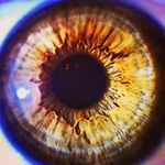 Profile Picture of Sean Snow (@streetgenius) on Instagram