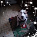 Profile Picture of Cheryl Solomon (@cnsolomon17) on Instagram