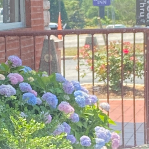 Kendall Gregory - Poshmark Profile Picture of Kendall Gregory (@klgboo1117) on Poshmark