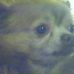 Profile Picture of Joan Munzert Smola (@joan.munzertsmola) on Facebook