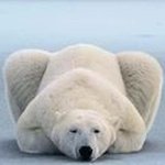 Profile Picture of Martin Prager (@pragermartin) on Instagram