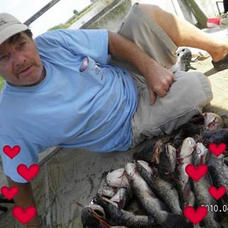 Profile Picture of Phyllis Freeman (@phyllis.freeman.79) on Facebook