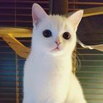 Profile Picture of 박혜준 (@nanunsunjun) on Instagram