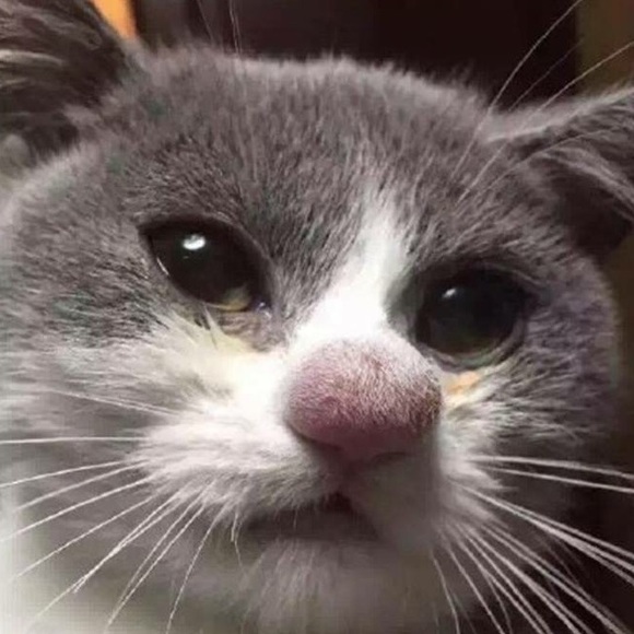 Profile Picture of Meghan Mascetti (@megmas14) on Poshmark