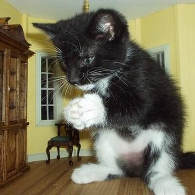 Profile Picture of Maritsa Ramirez (@RamirezMaritsa) on Twitter