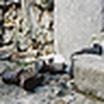 Profile Picture of William Blake (@william.blake.825) on Flickr