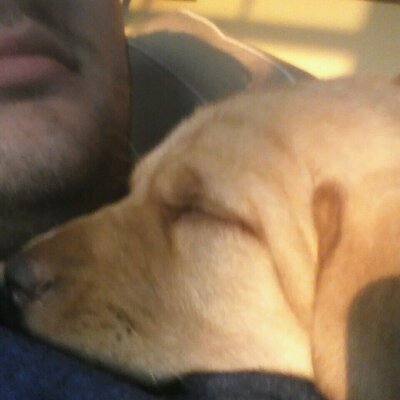 Profile Picture of Dan Klinger (@buffaloterror) on Twitter