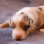 Profile Picture of Anne Popper (@acpeepers) on Instagram