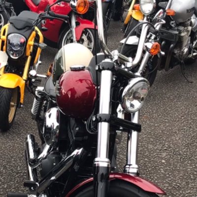 Profile Picture of Alex Mcmurray (@rotarippa) on Twitter