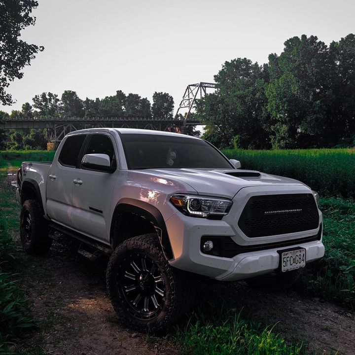 Profile Picture of   Trevor Haynes... (@trevorhaynes8) on Tiktok