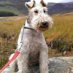 Profile Picture of colinmcculloch86 (@colinmcculloch86) on Tiktok