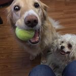 Profile Picture of Sandra Cruickshank (@sandra.cruickshank.9) on Instagram