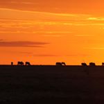 Profile Picture of Scott Holcombe (@scottholcombe5) on Instagram