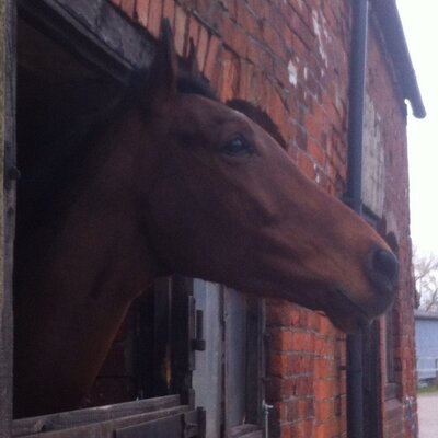 Profile Picture of Carol Handy (@cazerhands) on Twitter