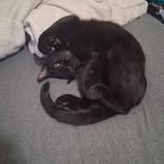 Profile Picture of Adam Tibbetts Jr. (@Adam-Tibbetts-Jr) on Facebook