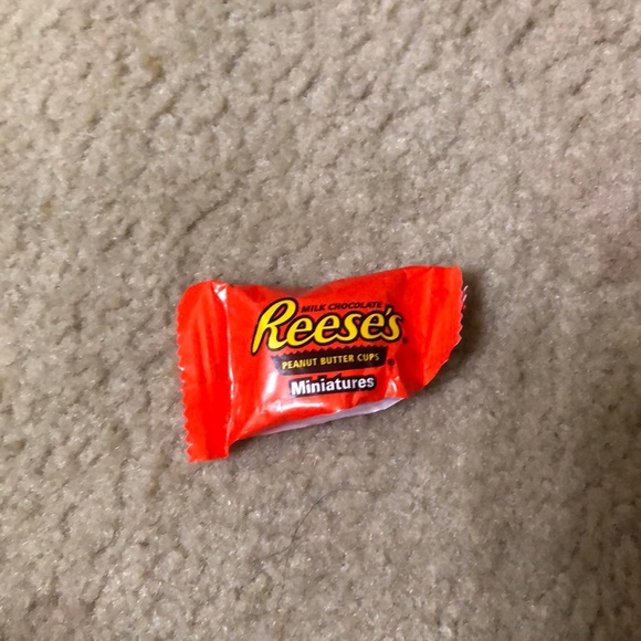 Profile Picture of Ash Rob (@ashrob07) on Poshmark