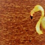 Profile Picture of Dee Catsinas Bender (@dee.bender) on Instagram