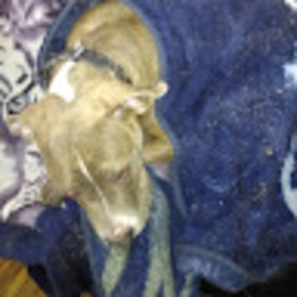 Profile Picture of Aimee Friedlein (@aimfriedlein) on Poshmark