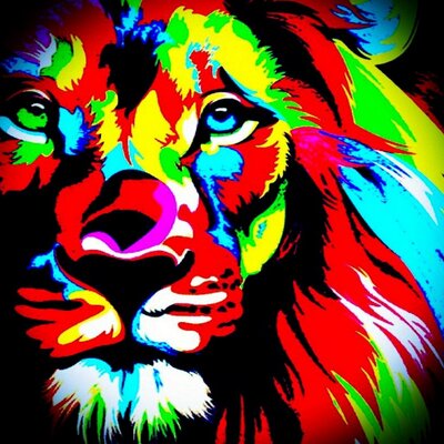 Profile Picture of David Pothier (@@pothier_david) on Twitter