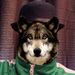 Profile Picture of Kyle Coelho (@kylecoelho16) on Pinterest