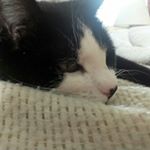 Profile Picture of Benjamin Allaire (@allairebenjamin) on Instagram