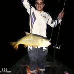 Profile Picture of David Wagner (@David-Wagner) on Facebook