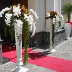 Profile Picture of Cristofaro Scotti Di Carlo (@cristofaroscottidicarlo) on Instagram