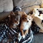 Profile Picture of Laura Hartong (@Laura-Hartong) on Facebook