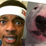 Profile Picture of Theo Sutton (@theo_wa_) on Instagram