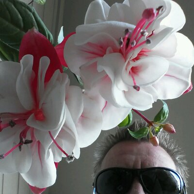 Profile Picture of John Sumners (@jonnboy67) on Twitter