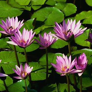 Profile Picture of Monder Garah (@monder.garah) on Facebook