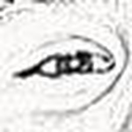 Profile Picture of Andy Rodrigues (@tweak-it) on Flickr