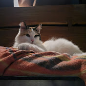 Profile Picture of Pa Yang (@melodybty5182) on Youtube