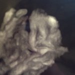 Profile Picture of James Travis Standley (@jamesthisinsta) on Instagram