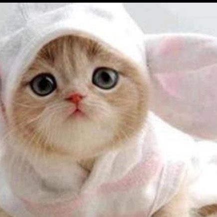 Profile Picture of tracycollinson (@tracycollinson) on Tiktok