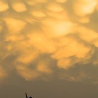 Profile Picture of Shawn Casey (@shawn-casey-21) on Quora
