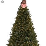 Profile Picture of Tori (@christmastree_tori) on Instagram