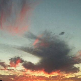 Profile Picture of Daniel Di Florio (@daniel.diflorio.1) on Facebook