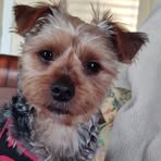 Profile Picture of Vickie Hefner (@vickie.hefner.733) on Facebook