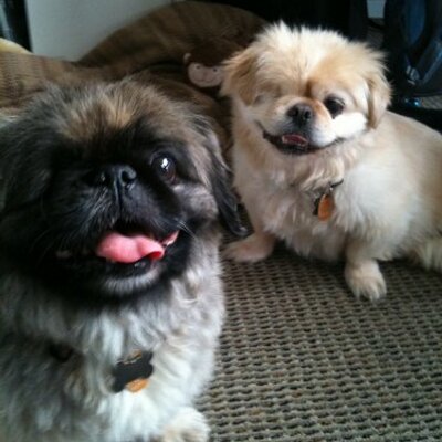 Profile Picture of Dr. James Ransom (@ransomvet) on Twitter