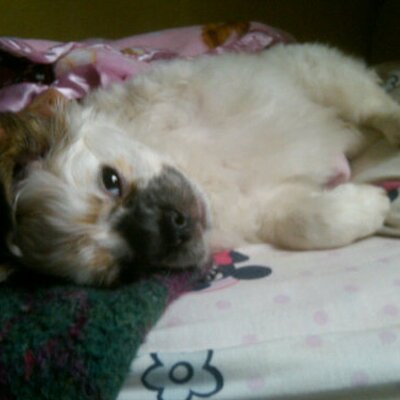 Profile Picture of Antoinette Ramirez (@Antu_1904) on Twitter