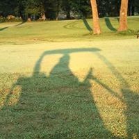 Profile Picture of Jimmy Rochelle (@jimmyrochelle) on Pinterest