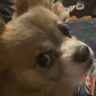 Ryan Woollard - Facebook Profile Picture of Ryan Woollard (@ryan.woollard.58) on Facebook