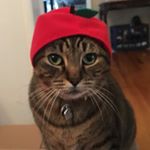 Profile Picture of Matt Todaro (@matt__todaro) on Instagram