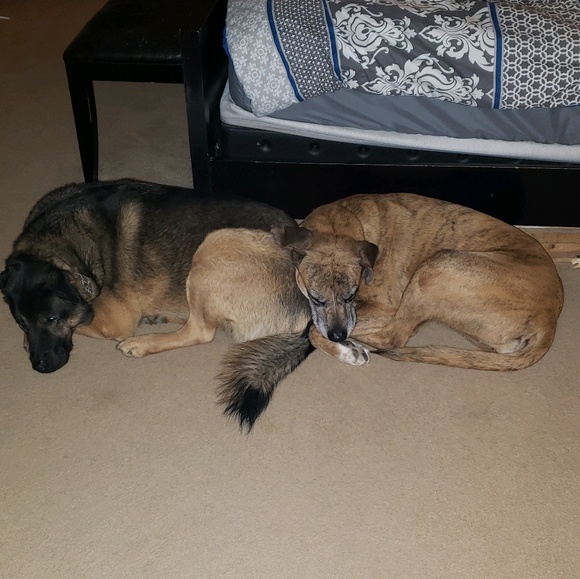 Profile Picture of Heather Mcentire (@hmcentire) on Poshmark