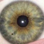 Profile Picture of Jason Cobb (@jasontgcobb) on Instagram